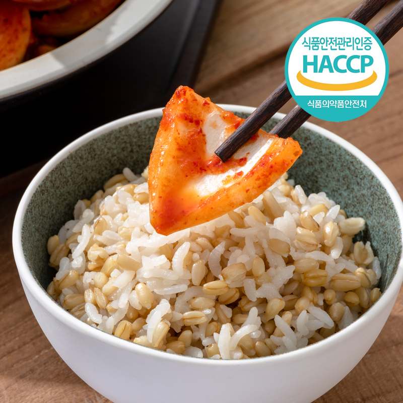 50년 전통의 전라도산 양파김치, 집에서 맛보는 정성 가득한 맛