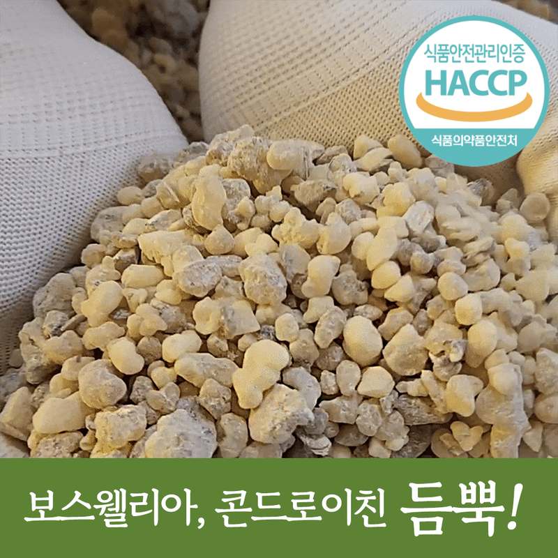 쉽고 간편하게 건강 챙기기! 우슬즙과 콘드로이친이 만난 힘가네 제품 소개