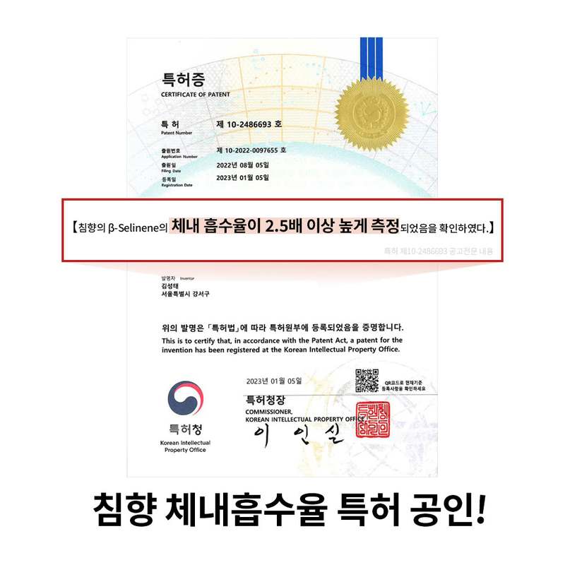 일상 속에서 자연스럽게 챙기는 침향 건강 보조제, 이렇게 활용해보세요!