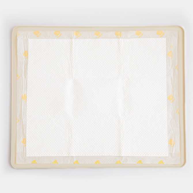 강아지 배변 훈련에 딱 좋은 실리콘 배변매트, 한번 살펴보세요