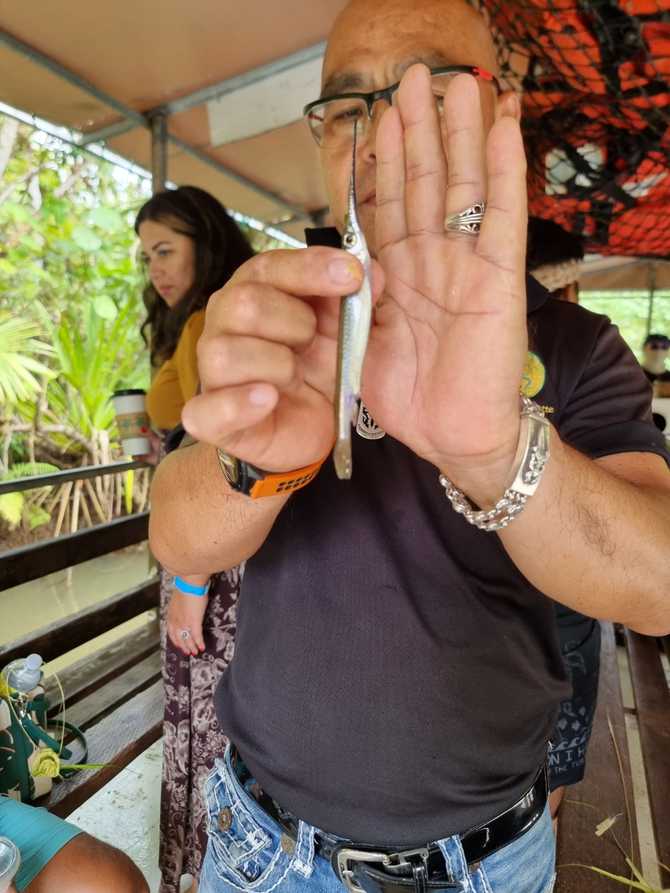 괌에서 즐기는 자연과 문화 체험, 정글 투어 가족 패키지 소개