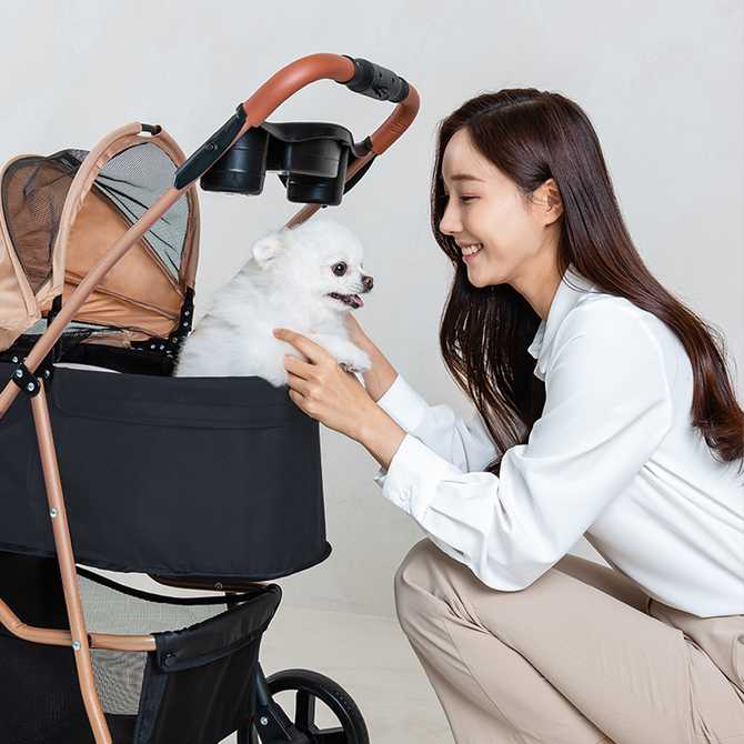 가볍고 접이 쉬운 반려동물 유모차, 어떤 점이 좋을까?