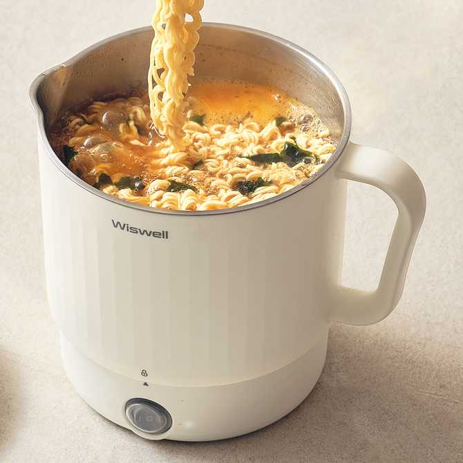 여행 가방에 쏙 넣기 좋은 미니 전기포트, 위즈웰 올스테인리스 머그팟 소개