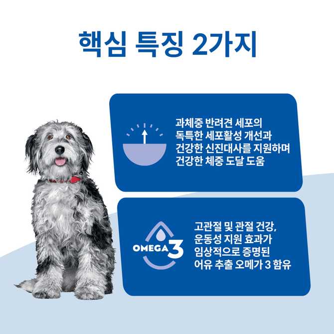 강아지 건강을 위한 힐스 퍼펙트 웨이트&조인트 서포트, 어떤 점이 좋을까?