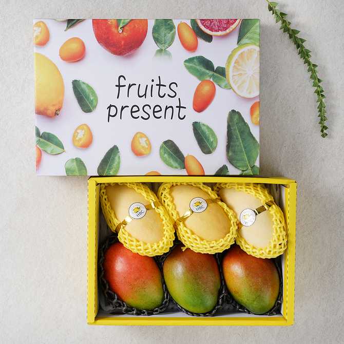 명절 선물로 딱! 다양한 과일이 가득한 혼합 세트 소개