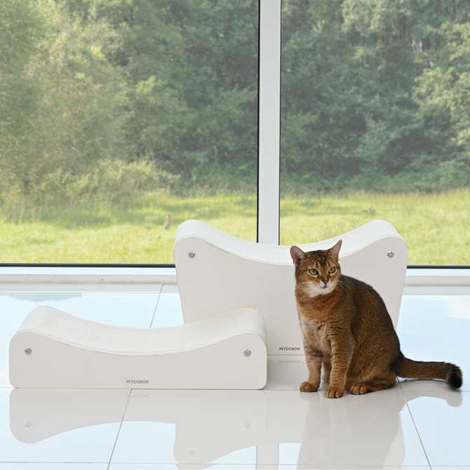 고양이 집과 스크래쳐를 한 번에! 펫코본 원목 소파형 숨숨집