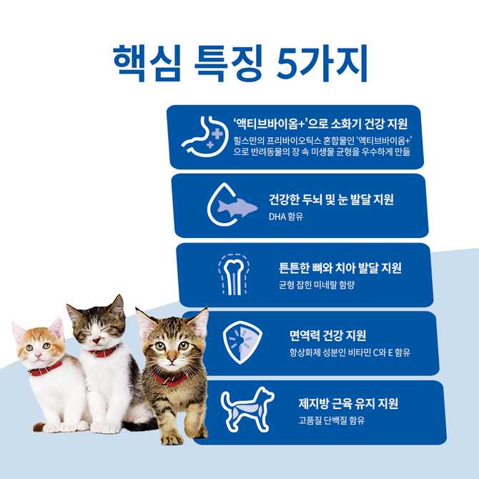 고양이 키튼 사료, 힐스 제품이 어떤 점이 좋을까?