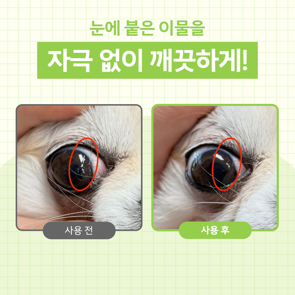 강아지 눈 건강을 위한 인공 눈물과 눈 세정제 추천