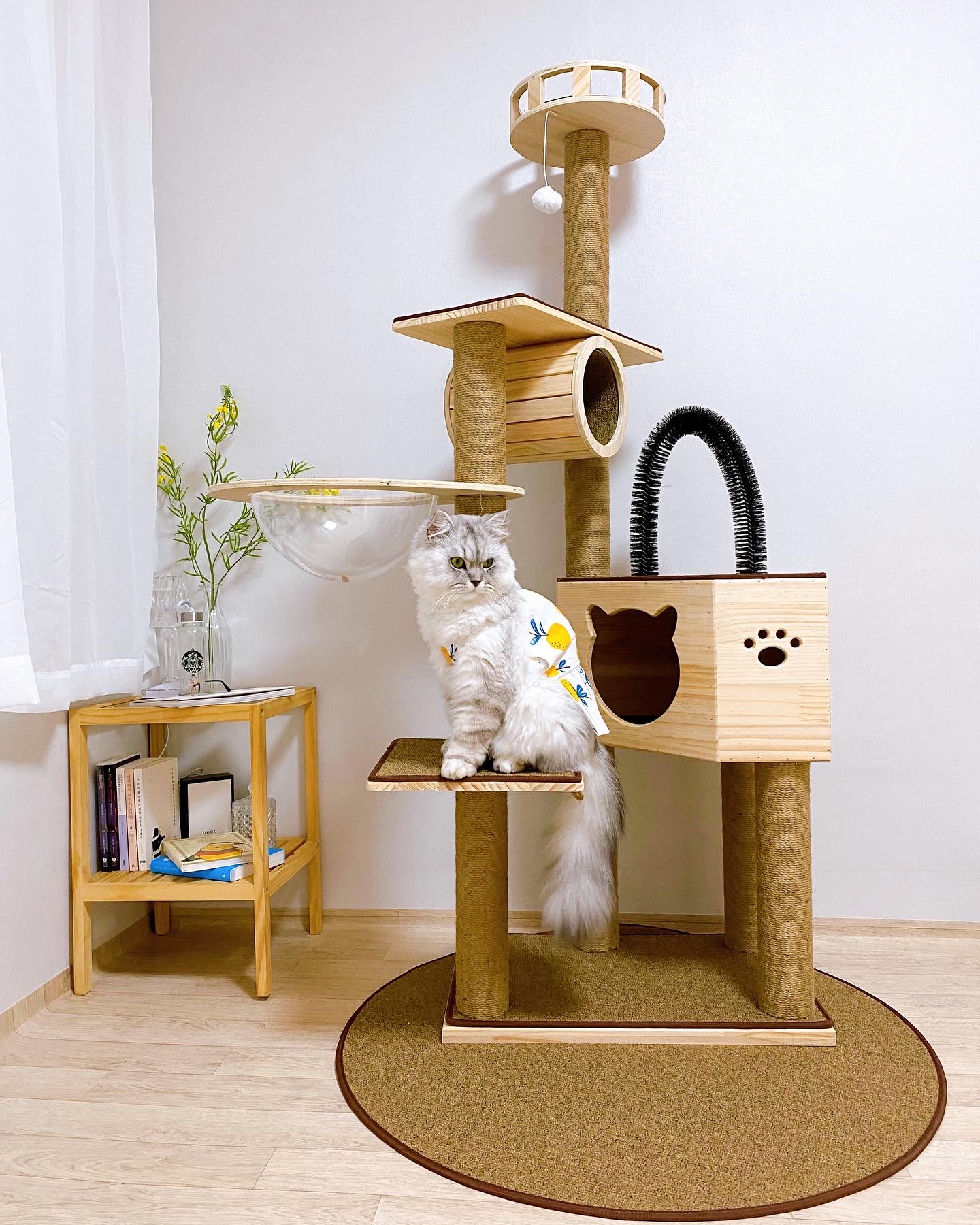 고양이들이 좋아하는 원목 우주선 캣타워, 160cm로 집안을 더 특별하게!