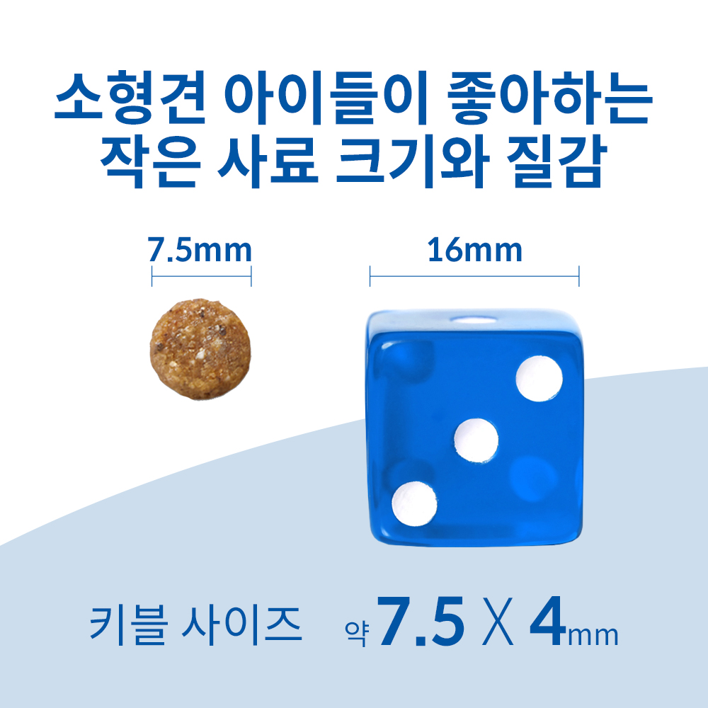 반려견을 위한 건강한 식사, 강아지 사료 추천과 선택 팁