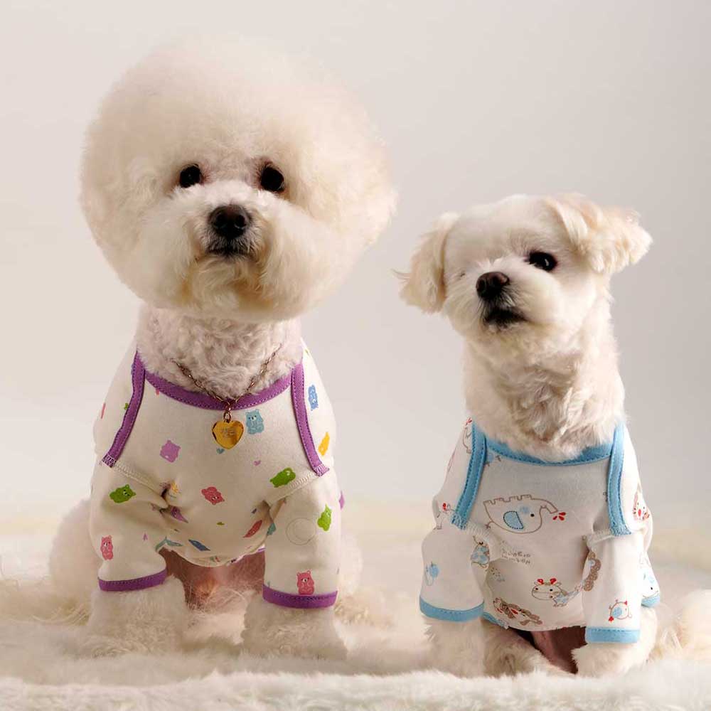 우리 강아지에게 딱 맞는 편안한 반팔 옷, 어떤 게 좋을까?