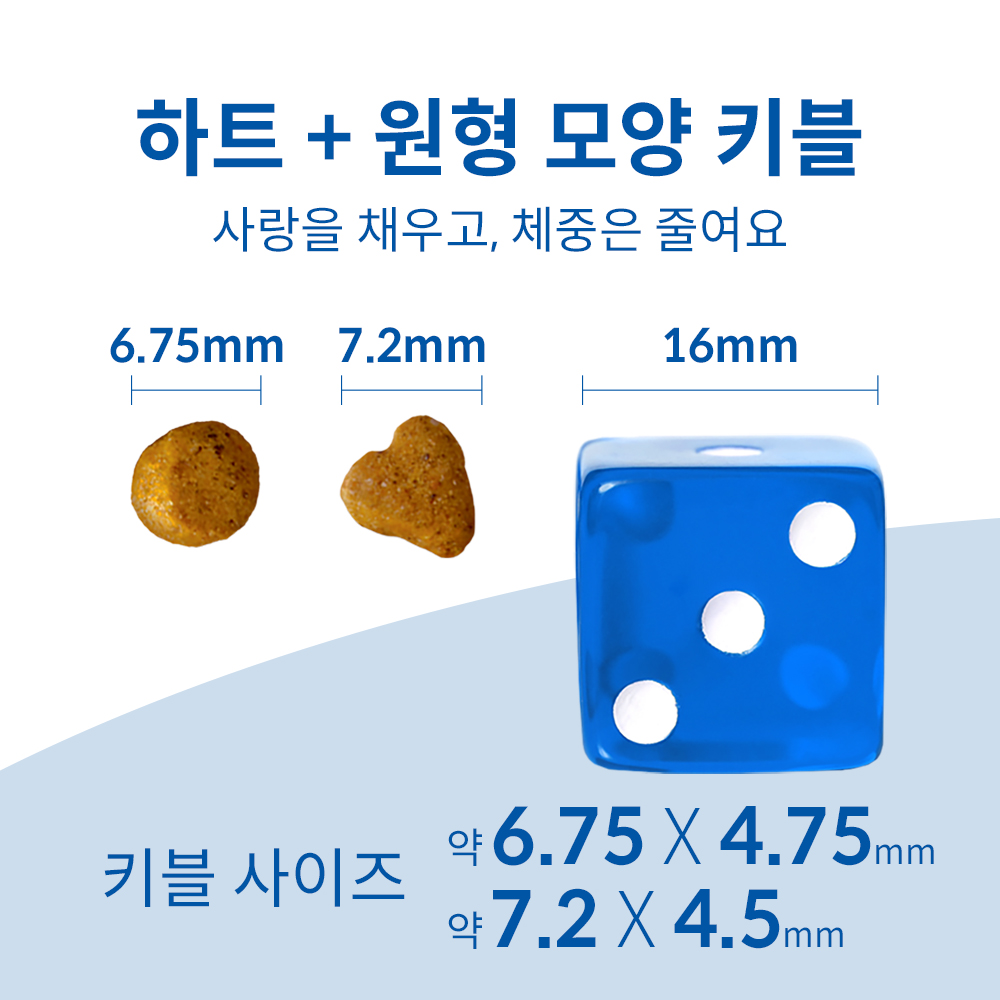 고양이 사랑하는 집사들을 위한 힐스 어덜트 퍼펙트 웨이트 사료 추천