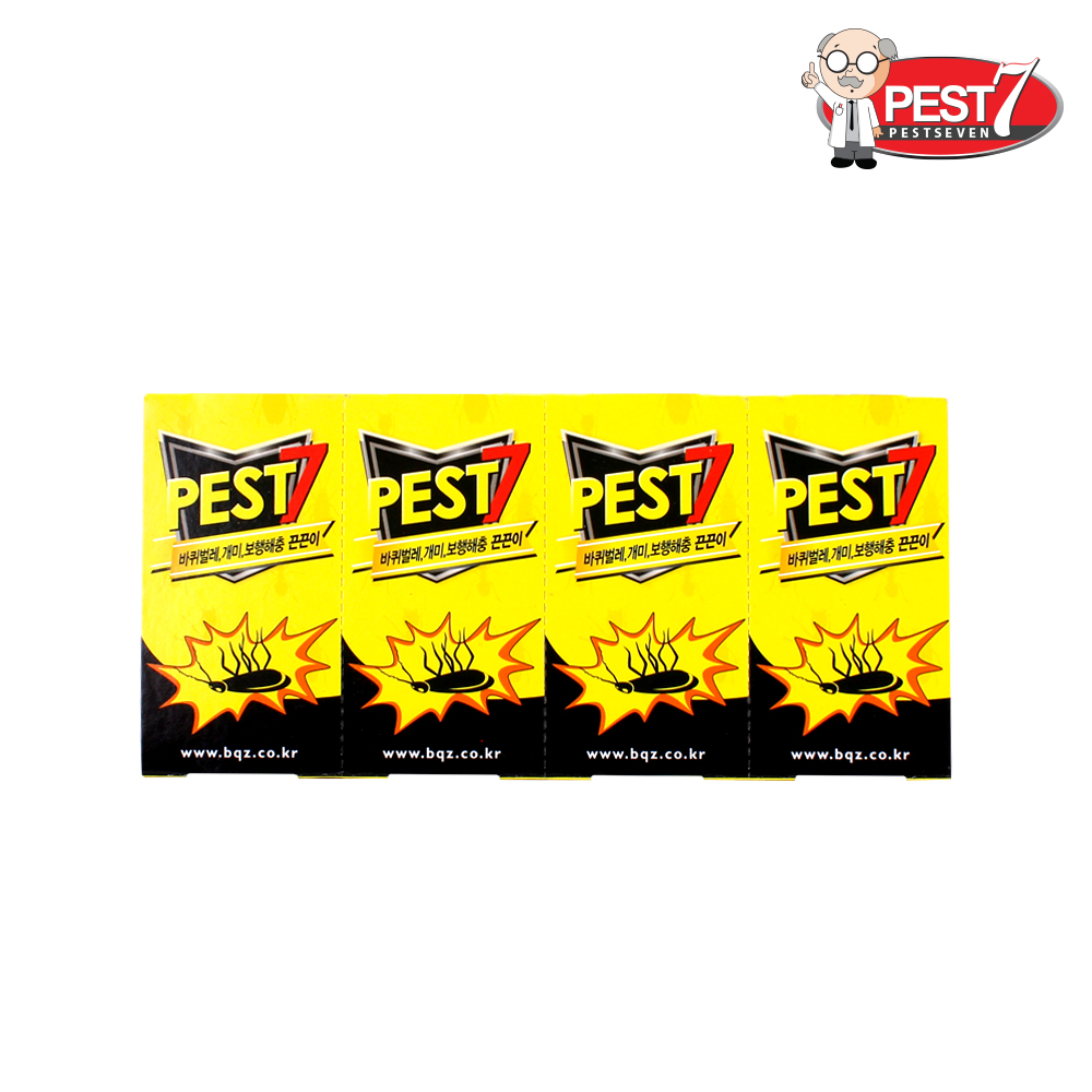 집에서 바퀴벌레와 개미 걱정 끝! 효과적인 퇴치 방법을 알려드릴게요