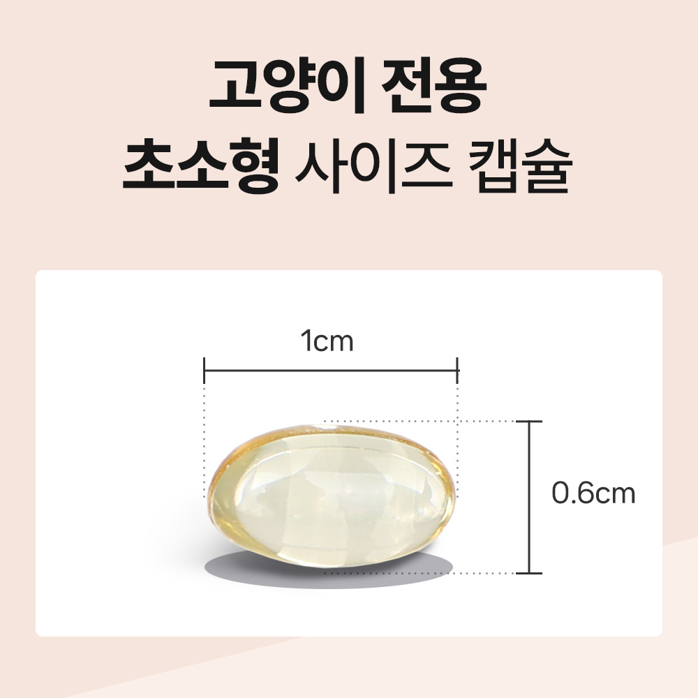 고양이 건강을 위한 오메가3, 어떤 제품이 좋을까 고민되시나요?