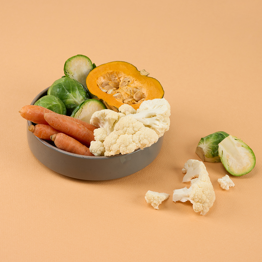 반려견을 위한 건강한 간식, 자연 그대로 동결건조로 만들어졌어요!