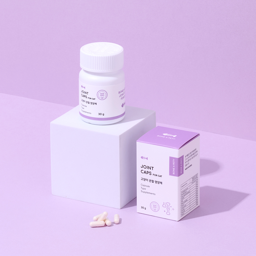 고양이 관절 건강을 위한 영양제, 이렇게 선택하세요!