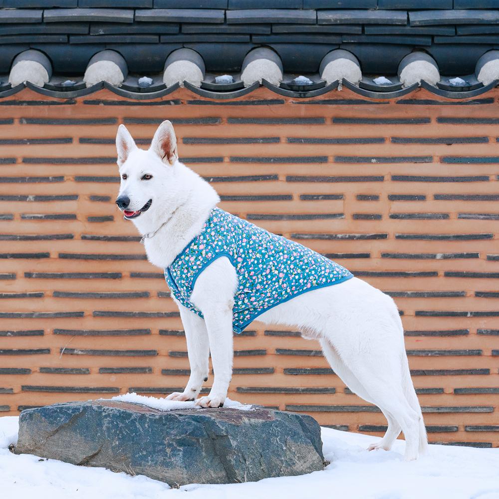 우리 강아지와 고양이에게 딱 맞는 따뜻한 조끼 추천!