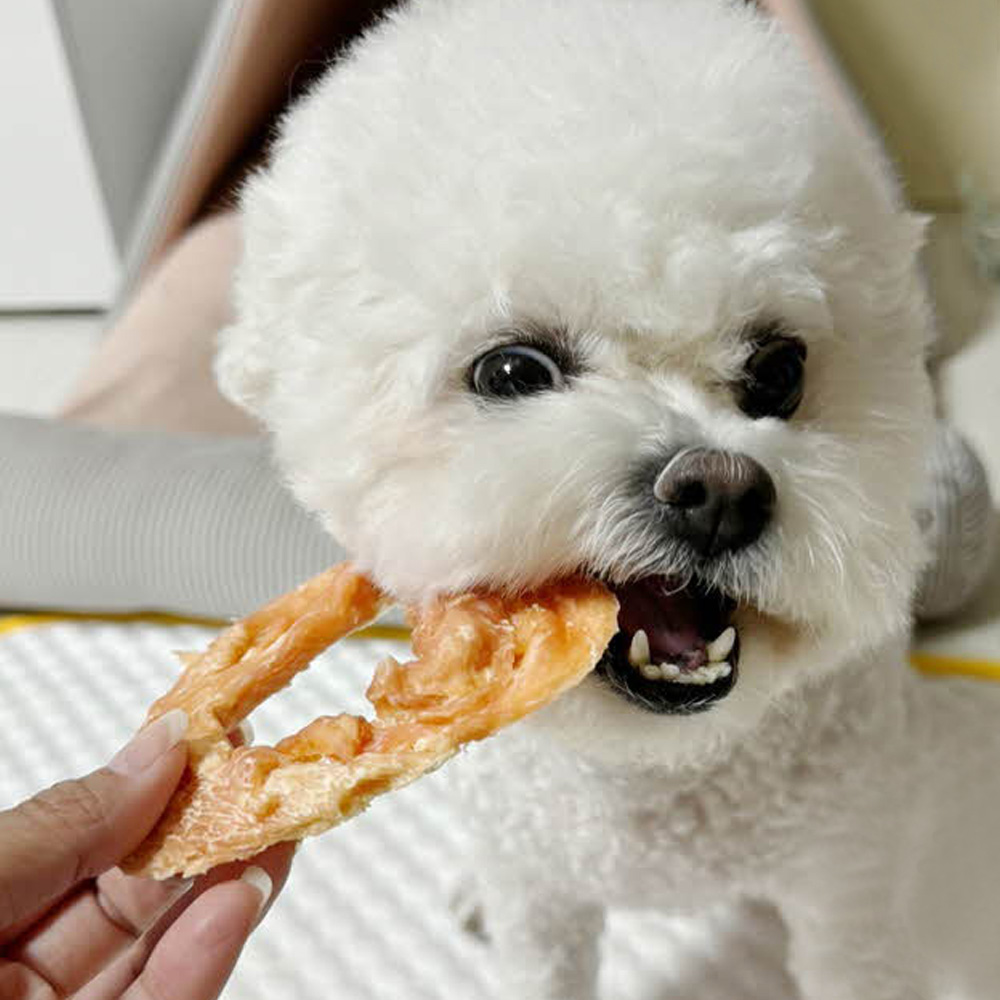 우리 강아지에게 딱 맞는 오래 먹는 간식, 치석 제거도 함께!