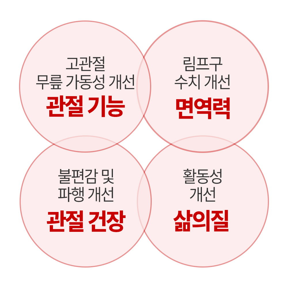 강아지 관절 건강을 위한 영양제, 이렇게 선택하세요!