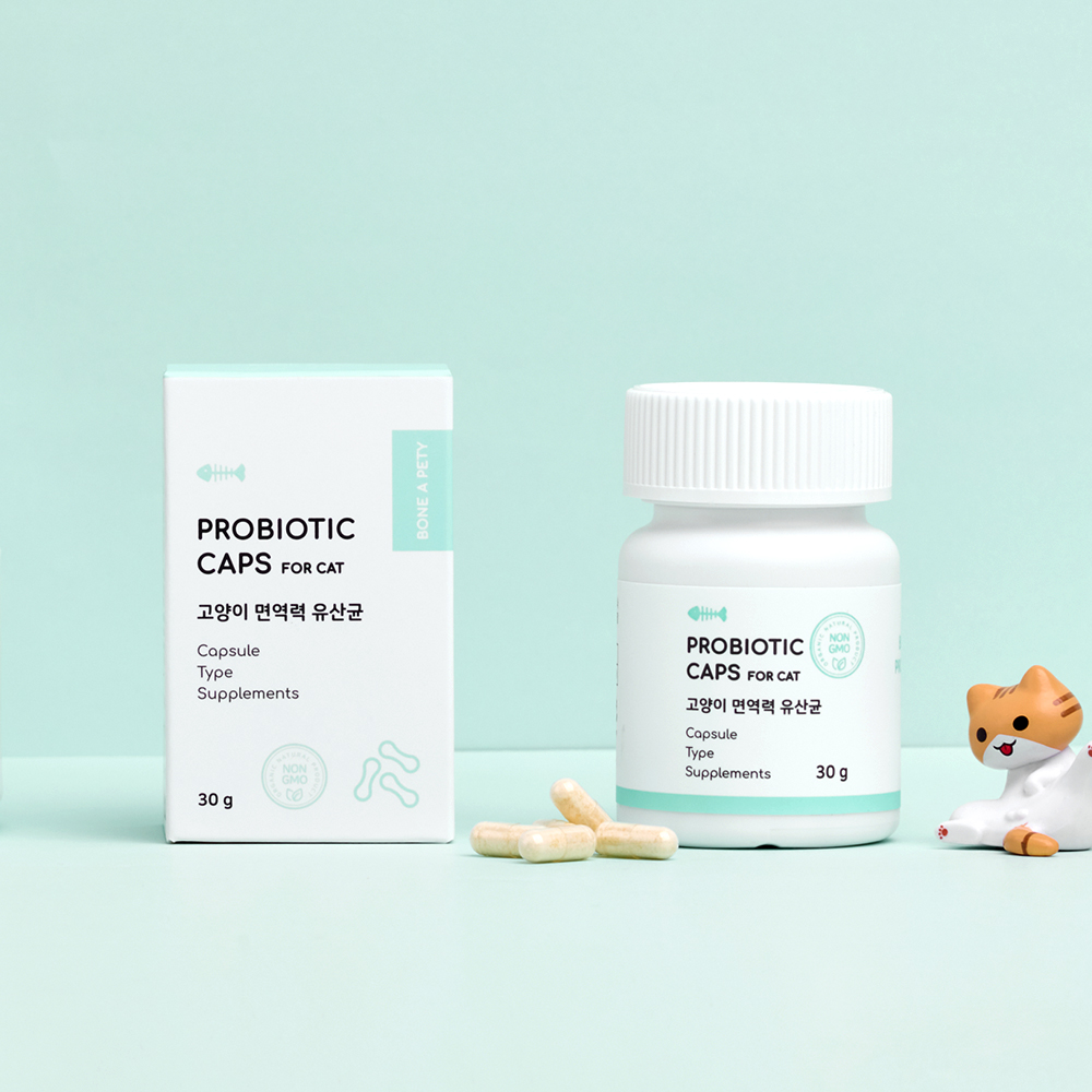 고양이 구강 건강과 소화 개선, 함께 챙기기 좋은 유산균 캡슐 추천