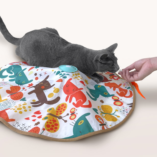 우리 고양이도 좋아하는 움직이는 자동 꼬리잡기 장난감, 한번 살펴보세요!