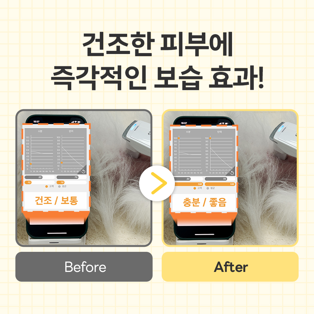 강아지 피부 고민, 집에서 쉽게 해결하는 방법 알려드릴게요!