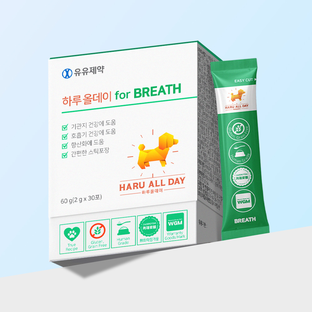 반려견 건강을 위한 기관지 영양제, 이렇게 선택하세요!