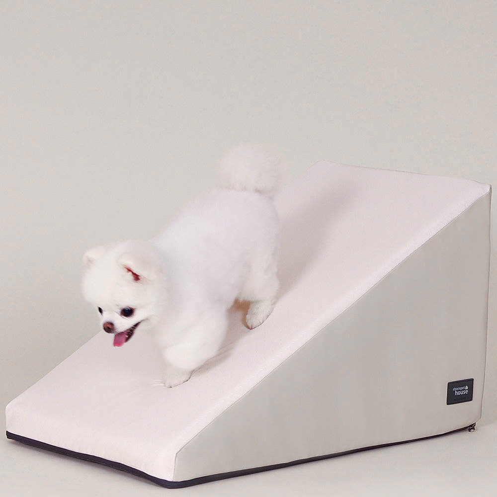 강아지 계단과 슬라이드, 안전하게 사용할 수 있는 방법 알려드릴게요!