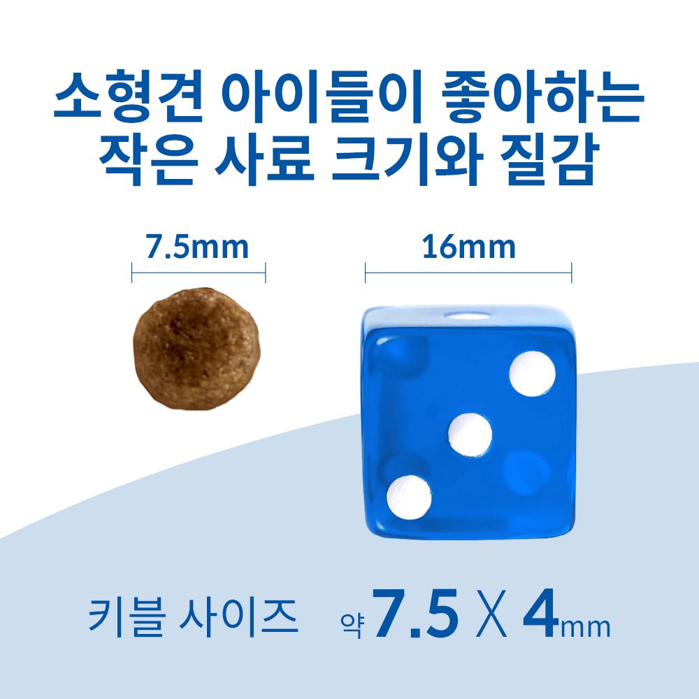 강아지에게 딱 맞는 사료, 힐스 어덜트 11+ 스몰 앤 미니 2kg로 건강 챙기기