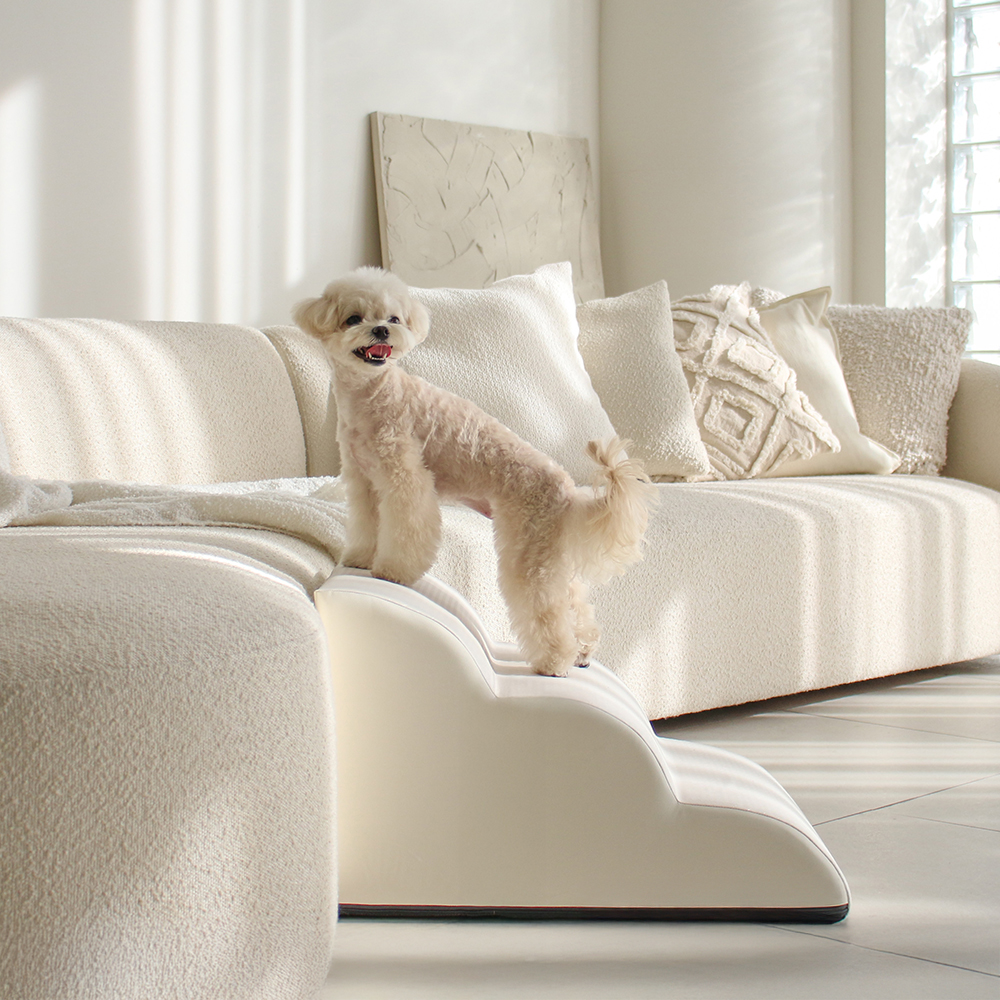 강아지와 고양이 모두 안전하게 사용할 수 있는 미끄럼 방지 계단 추천!