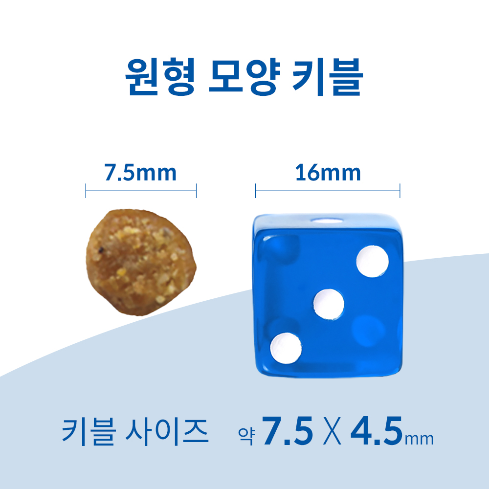 고양이 건강을 위한 최고의 선택, 힐스 어덜트 11+ 1.6kg 리뷰
