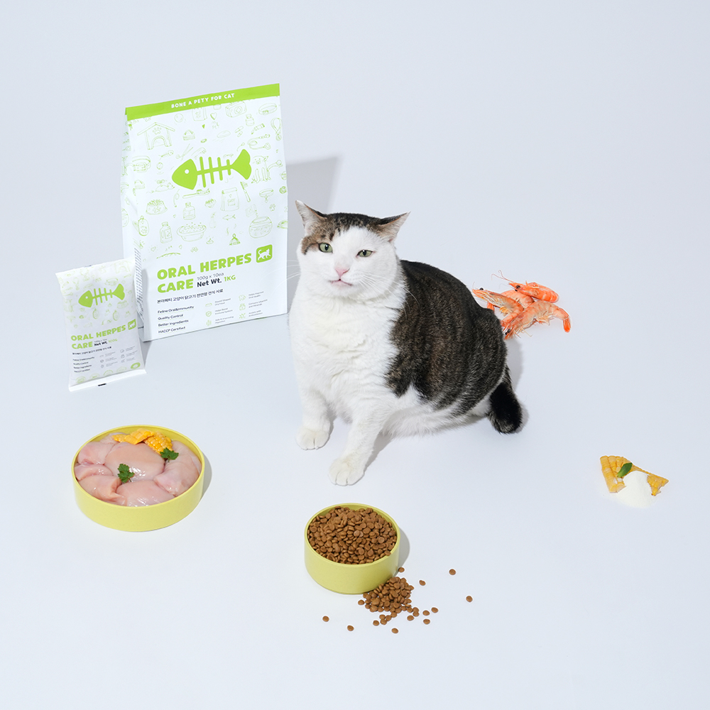 고양이 구내염과 허피스 걱정 끝! 구강 건강을 위한 추천 사료