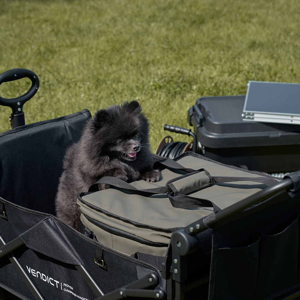캠핑이나 야외 활동에 딱! 접이식 웨건으로 편리하게 이동하세요