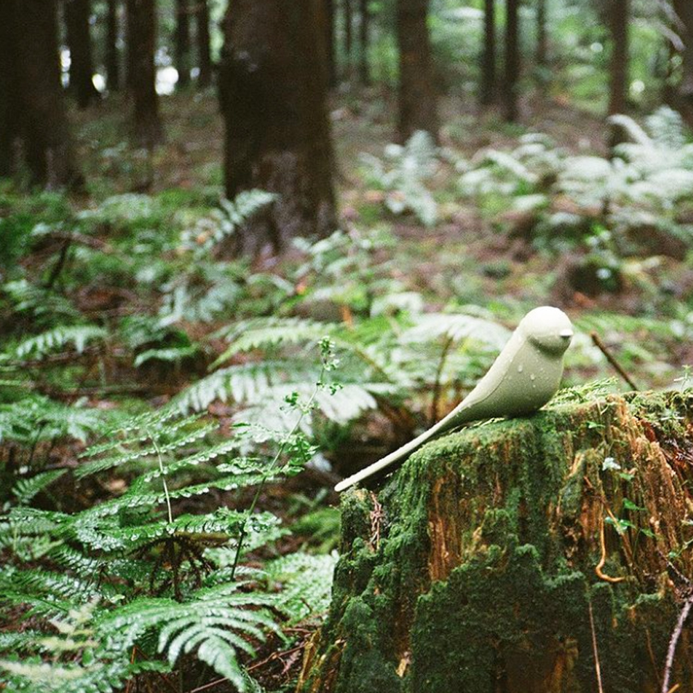 쉽고 편하게 신발 관리하는 방법, 자석 구두주걱으로 해결하세요!