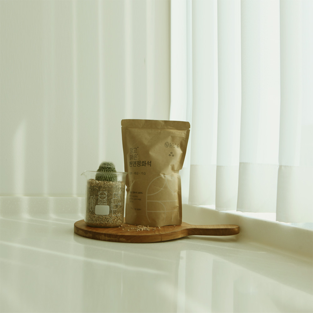 집에서도 쉽게 사용하는 자연 가습기, 건강하게 습도 맞추기