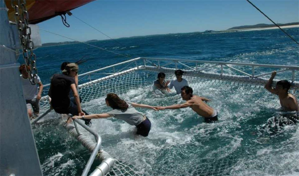 시드니에서 즐기는 포트스테판 하루 여행, 돌핀크루즈와 와이너리까지 함께!