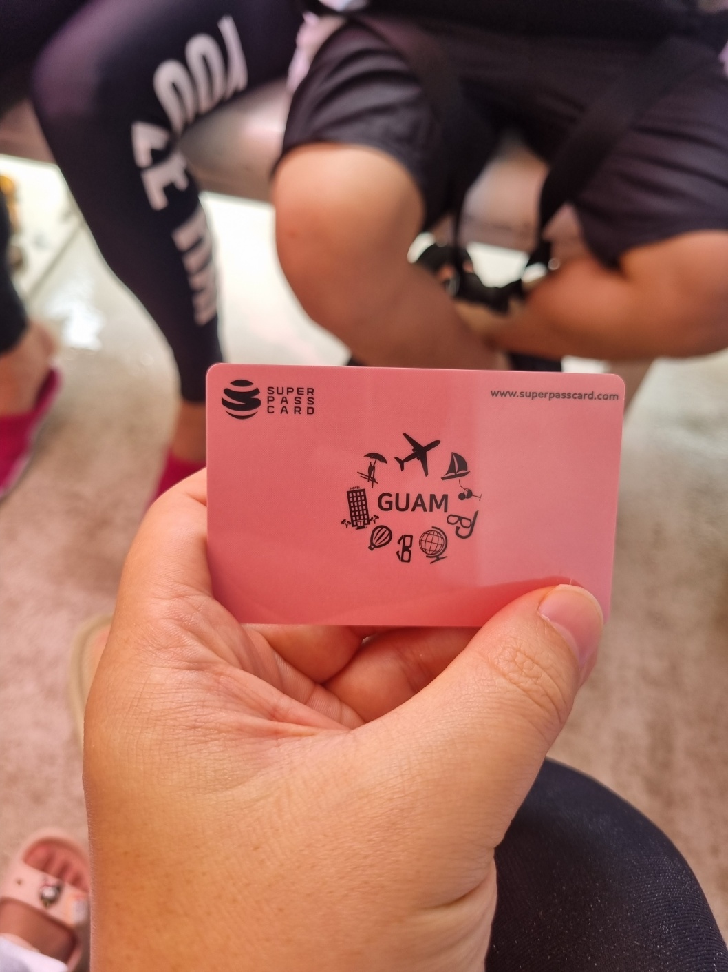 괌에서 즐기는 돌핀크루즈 체험! 돌고래와 함께하는 특별한 하루