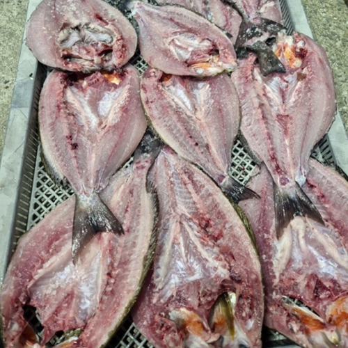대마도에서 즐기는 낚시 여행, 선박과 숙박, 렌터카까지 모두 포함된 세트팩으로 떠나보세요!