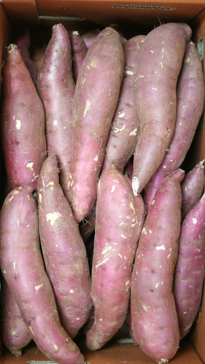 저렴하게 즐기는 고구마 10kg, 알뜰하게 구매하는 방법