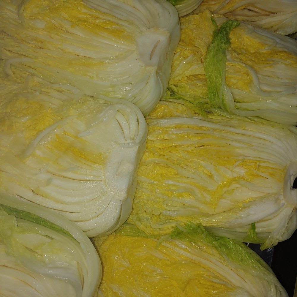 강원도 고랭지에서 자란 신선한 절임배추로 김장 준비 끝내기!