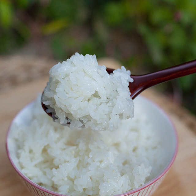 신선한 햅쌀 20kg, 오늘 바로 도정한 부안 해풍쌀로 건강한 한 끼를 시작하세요!