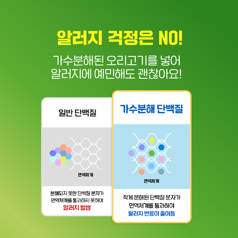 강아지 치아 건강을 위한 덴탈껌, 이렇게 선택하세요!