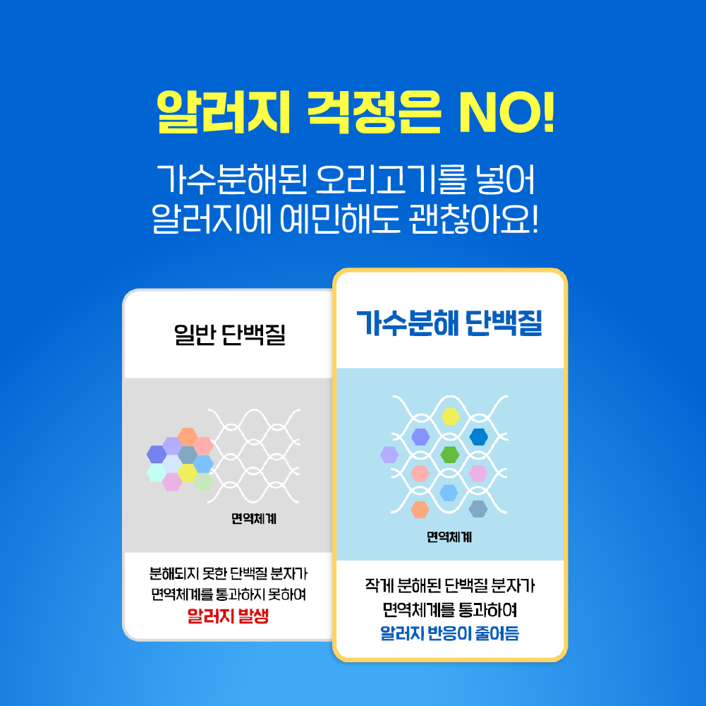 강아지 치아 건강을 위한 덴탈껌, 오래 씹는 양치껌 추천!