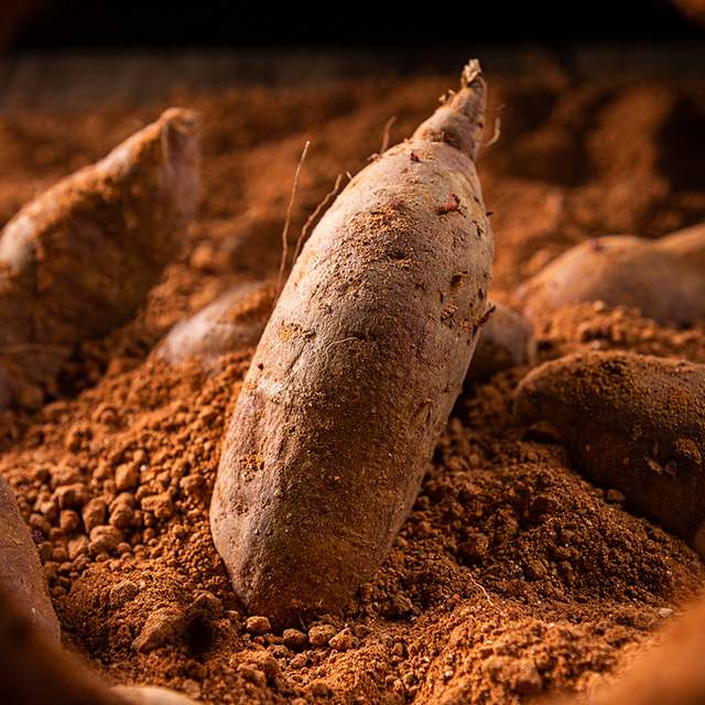 달콤한 해남 고구마, 집에서 간편하게 즐기기 좋은 3kg 또는 5kg 포장