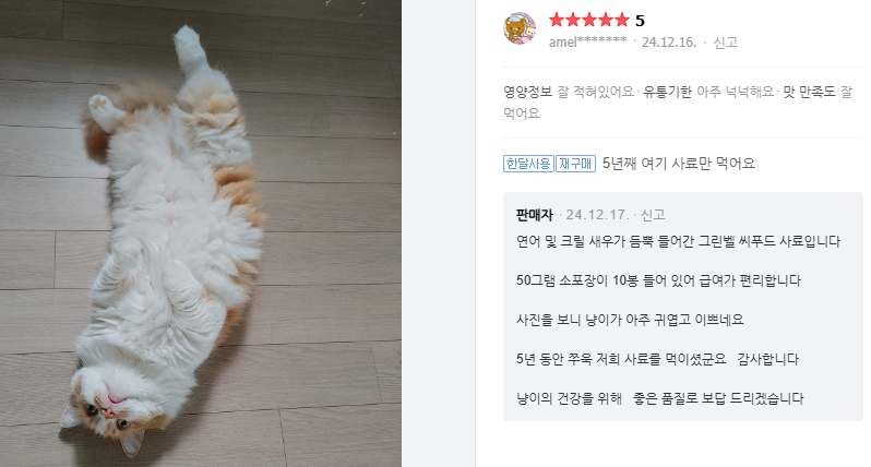 고양이 사랑하는 분들을 위한 최고의 사료, 한번 살펴보세요!