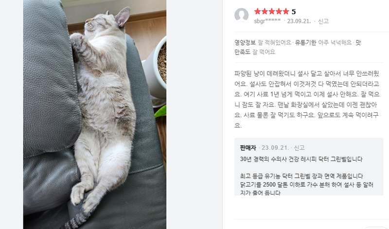 고양이 건강을 위한 최고의 선택, 장&면역 사료로 활력 넘치는 하루를!