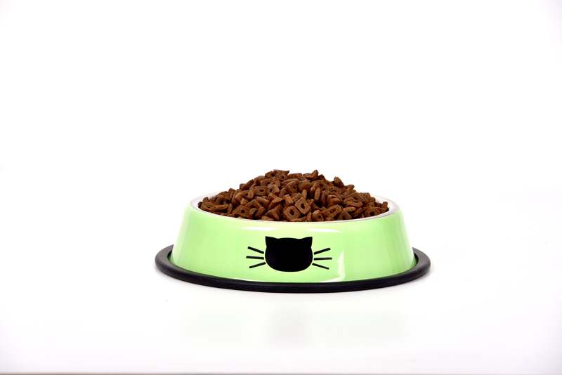 고양이 건강을 위한 인도어캣 5kg 헤어볼 저알러지 사료, 한번 살펴보세요!