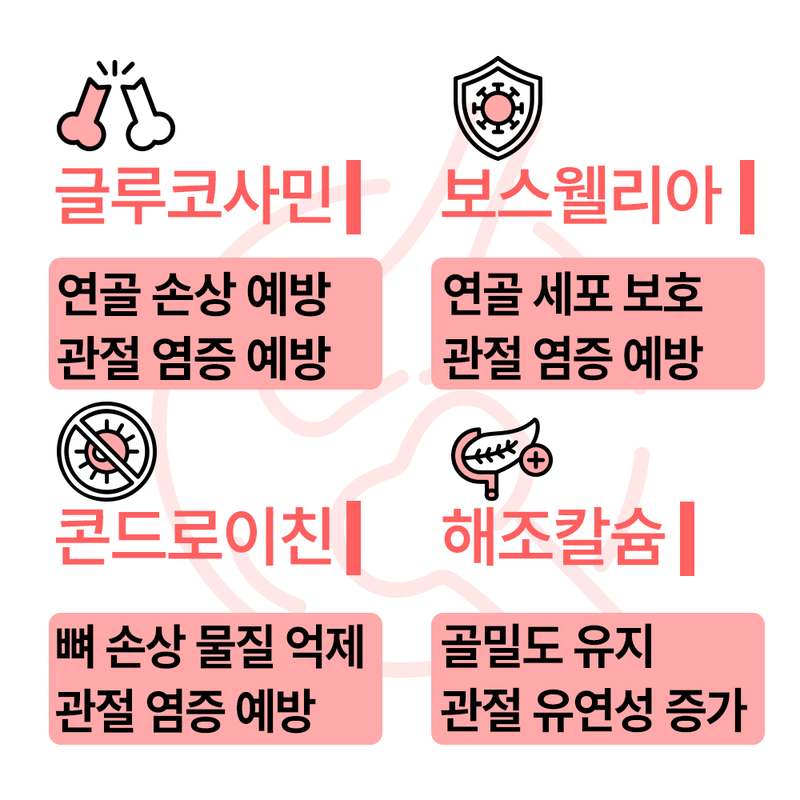 강아지 관절 건강을 위한 영양제, 쉽게 챙기기 좋은 선택!