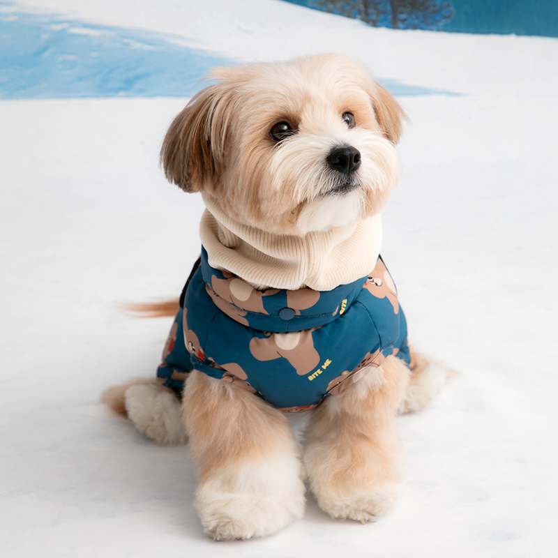 강아지 겨울철 따뜻함을 책임지는 패딩 조끼 추천!