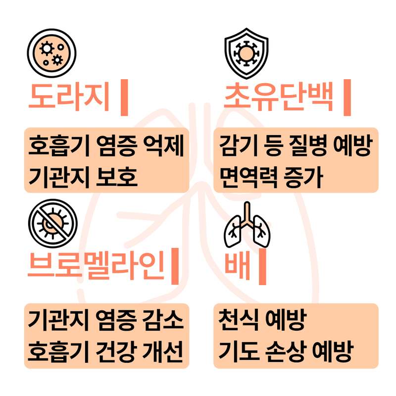 강아지 건강을 위한 기관지 영양제, 이렇게 선택하세요!